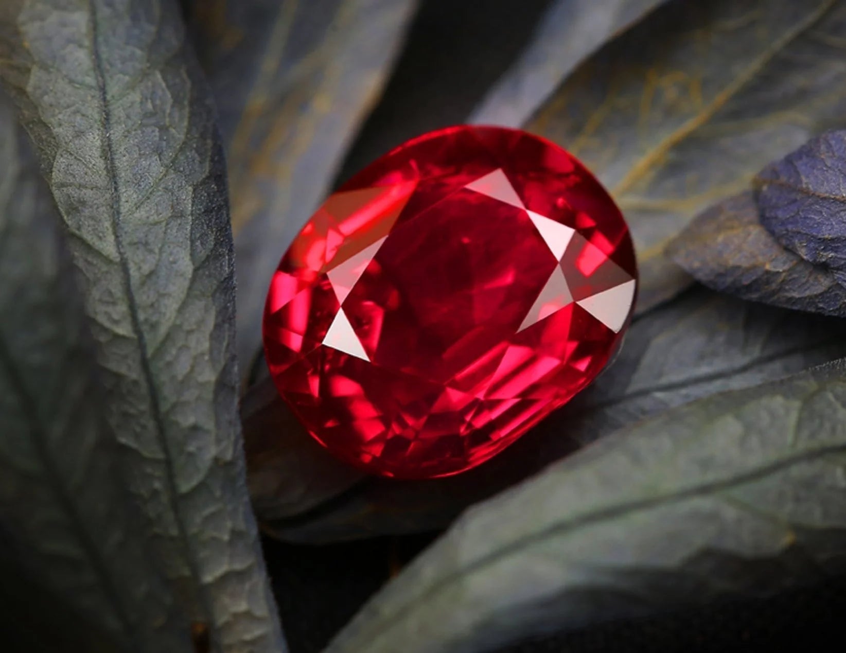 a vivid red ruby gemstone resting on a flower petal, symbolizing passion, strength, and hidden rose quartz meaning